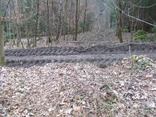 Bodenverdichtung im Wald - tiefe Fahrspuren durch schwere Maschinen zerstören Bodenstruktur und Bodenfruchtbarkeit