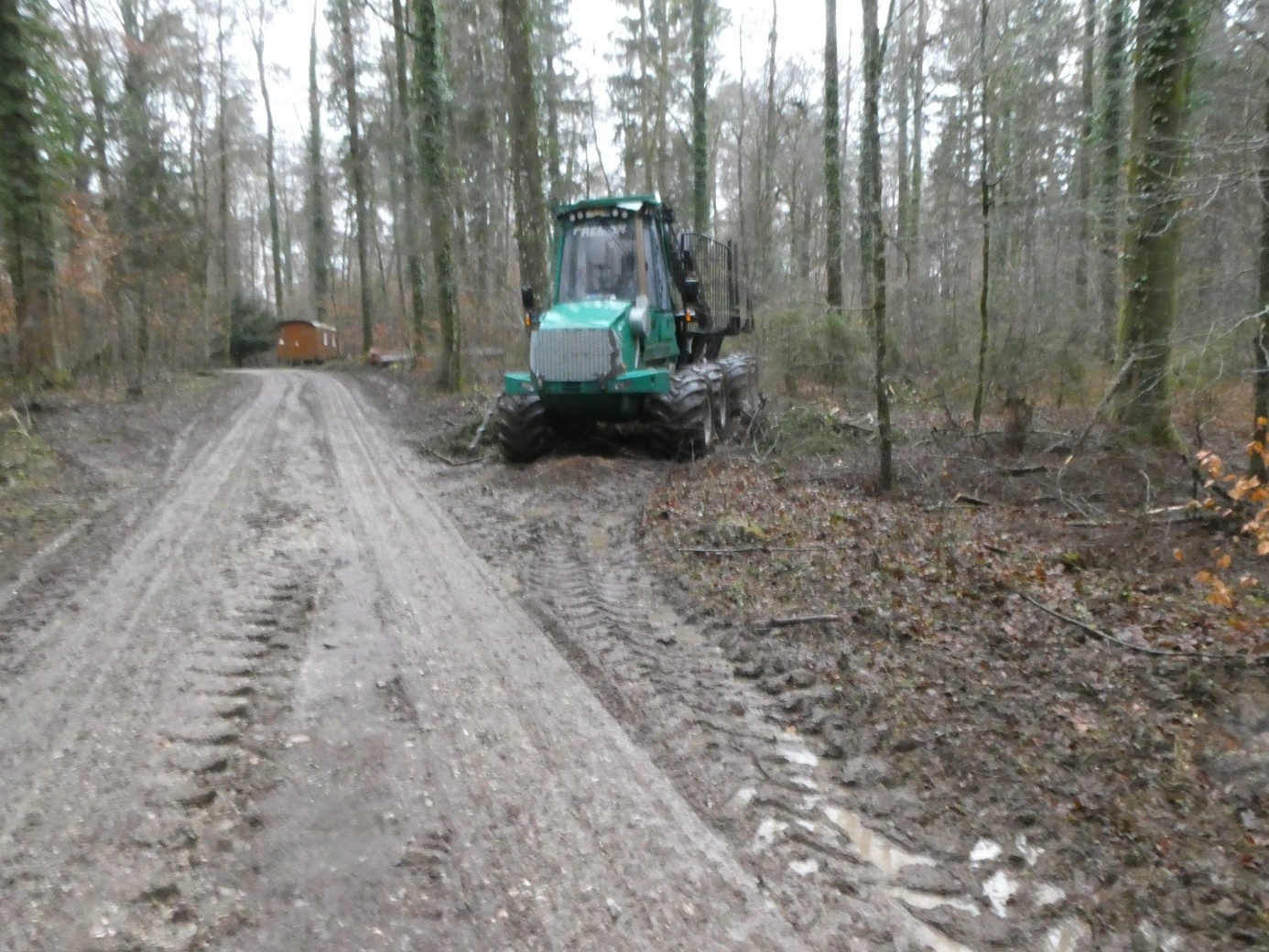 Bodenverdichtung durch schwere Forstmaschinen - sichtbare Fahrspuren im Wald, geschädigte Waldböden