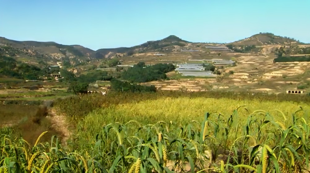 SEKEM Oase Ägypten - biodynamische Landwirtschaft verwandelt Wüste in fruchtbare blühende Landschaft